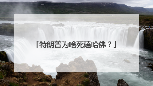特朗普为啥死磕哈佛？