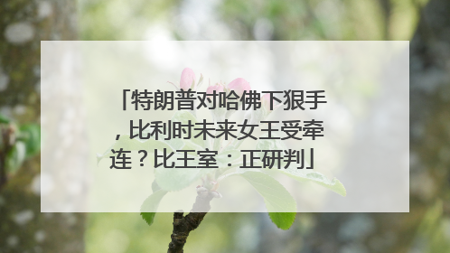 特朗普对哈佛下狠手，比利时未来女王受牵连？比王室：正研判