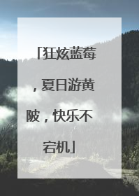 狂炫蓝莓，夏日游黄陂，快乐不宕机