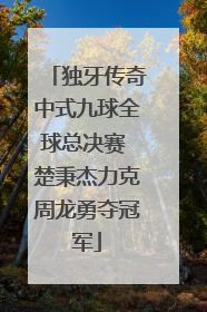 独牙传奇中式九球全球总决赛 楚秉杰力克周龙勇夺冠军