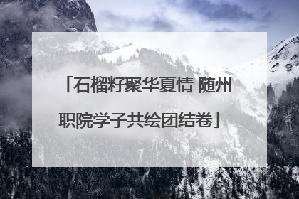 石榴籽聚华夏情 随州职院学子共绘团结卷