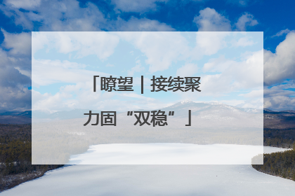瞭望｜接续聚力固“双稳”