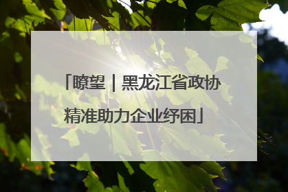 瞭望｜黑龙江省政协精准助力企业纾困