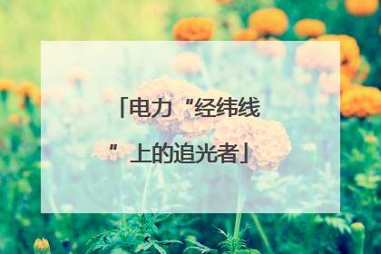 电力“经纬线”上的追光者