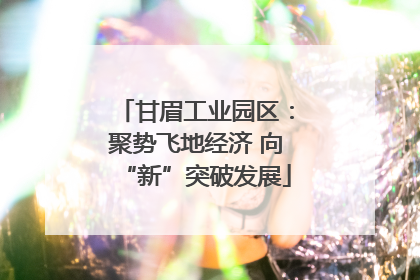 甘眉工业园区：聚势飞地经济 向“新”突破发展
