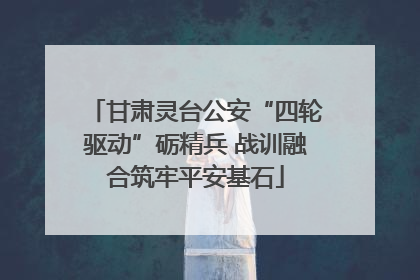 甘肃灵台公安“四轮驱动”砺精兵 战训融合筑牢平安基石