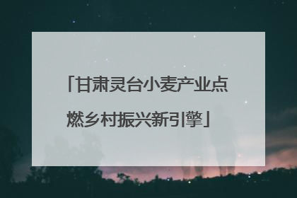 甘肃灵台小麦产业点燃乡村振兴新引擎