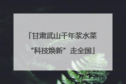 甘肃武山千年浆水菜“科技焕新”走全国
