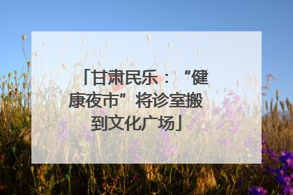 甘肃民乐：“健康夜市”将诊室搬到文化广场