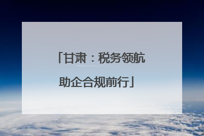 甘肃：税务领航 助企合规前行