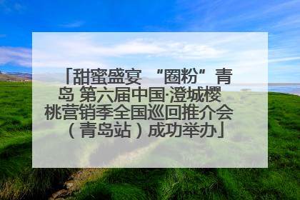 甜蜜盛宴 “圈粉”青岛 第六届中国·澄城樱桃营销季全国巡回推介会（青岛站）成功举办