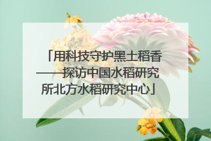 用科技守护黑土稻香——探访中国水稻研究所北方水稻研究中心