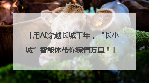 用AI穿越长城千年，“长小城”智能体带你粽情万里！
