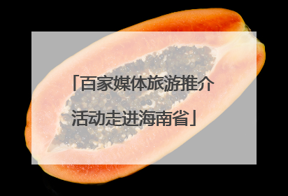 百家媒体旅游推介活动走进海南省