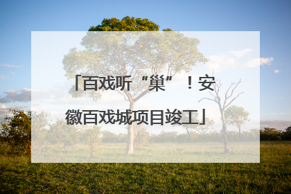百戏听“巢”！安徽百戏城项目竣工