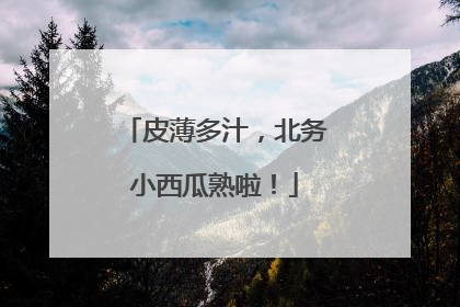 皮薄多汁，北务小西瓜熟啦！