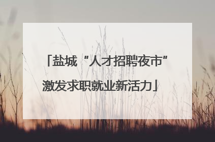盐城“人才招聘夜市”激发求职就业新活力