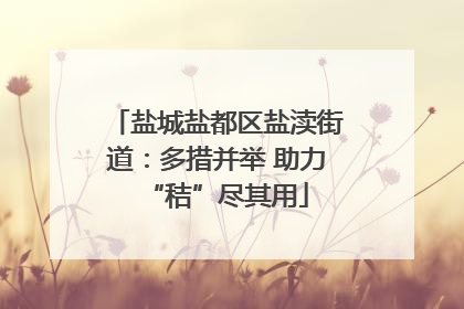 盐城盐都区盐渎街道：多措并举 助力“秸”尽其用