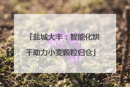 盐城大丰：智能化烘干助力小麦颗粒归仓
