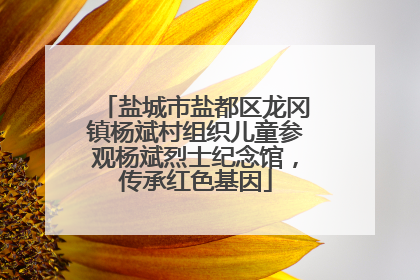 盐城市盐都区龙冈镇杨斌村组织儿童参观杨斌烈士纪念馆，传承红色基因