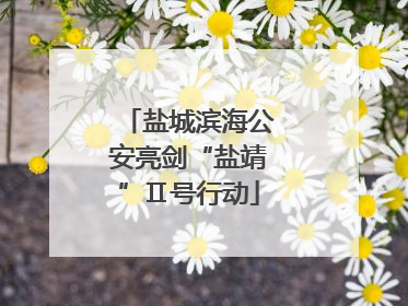 盐城滨海公安亮剑“盐靖”Ⅱ号行动