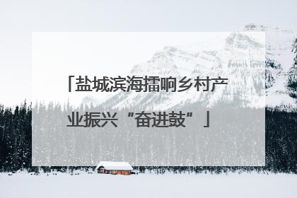 盐城滨海擂响乡村产业振兴“奋进鼓”