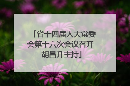 省十四届人大常委会第十六次会议召开 胡昌升主持