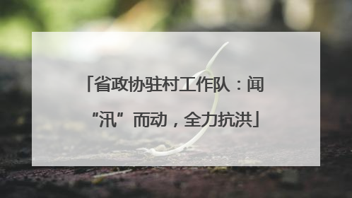 省政协驻村工作队：闻“汛”而动，全力抗洪