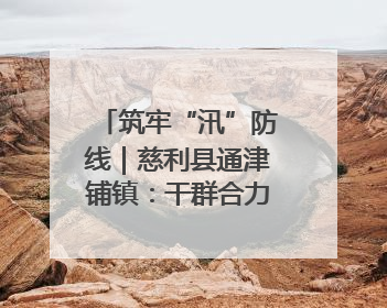 筑牢“汛”防线｜慈利县通津铺镇：干群合力抗击洪灾