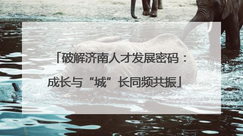 破解济南人才发展密码：成长与“城”长同频共振