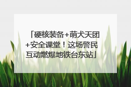 硬核装备+萌犬天团+安全课堂！这场警民互动燃爆地铁台东站