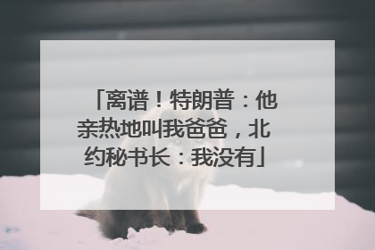离谱！特朗普：他亲热地叫我爸爸，北约秘书长：我没有