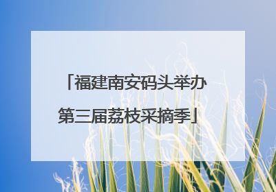 福建南安码头举办第三届荔枝采摘季