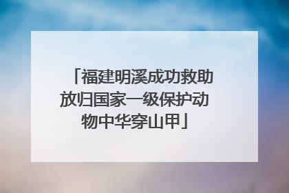 福建明溪成功救助放归国家一级保护动物中华穿山甲