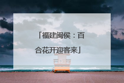 福建闽侯：百合花开迎客来