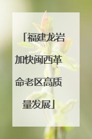 福建龙岩加快闽西革命老区高质量发展