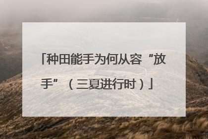 种田能手为何从容“放手”（三夏进行时）