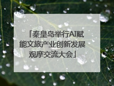 秦皇岛举行AI赋能文旅产业创新发展观摩交流大会