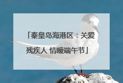 秦皇岛海港区：关爱残疾人 情暖端午节