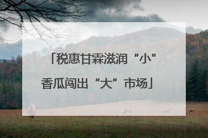 税惠甘霖滋润“小”香瓜闯出“大”市场