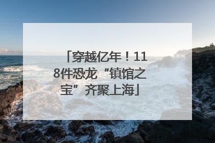 穿越亿年！118件恐龙“镇馆之宝”齐聚上海