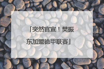 突然官宣！樊振东加盟德甲联赛
