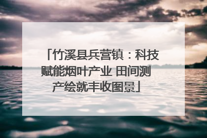 竹溪县兵营镇：科技赋能烟叶产业 田间测产绘就丰收图景