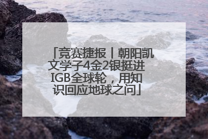 竞赛捷报丨朝阳凯文学子4金2银挺进IGB全球轮，用知识回应地球之问
