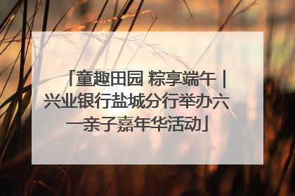 童趣田园 粽享端午｜兴业银行盐城分行举办六一亲子嘉年华活动