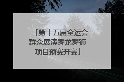 第十五届全运会群众展演舞龙舞狮项目预赛开赛