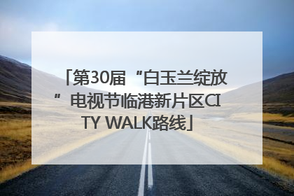 第30届“白玉兰绽放”电视节临港新片区CITY WALK路线