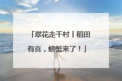 翠花走千村丨稻田有喜，螃蟹来了！