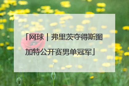 网球｜弗里茨夺得斯图加特公开赛男单冠军