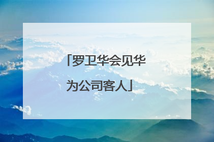 罗卫华会见华为公司客人